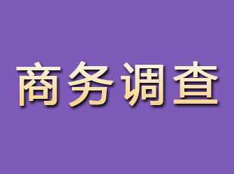 鼎湖商务调查